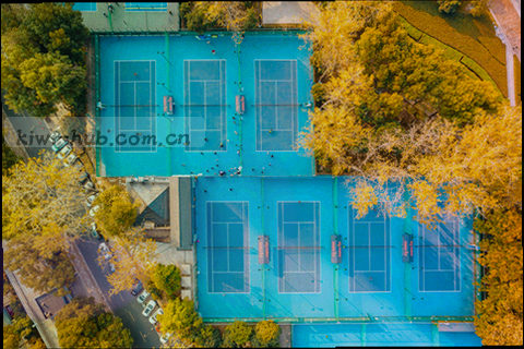 数据加密与安全抽象示意图，展示登录凭证与传输通道的加密保护关系